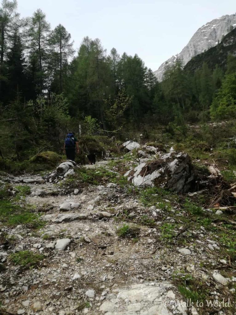 Escursione Pecol Pian del Crep sorgenti Maé