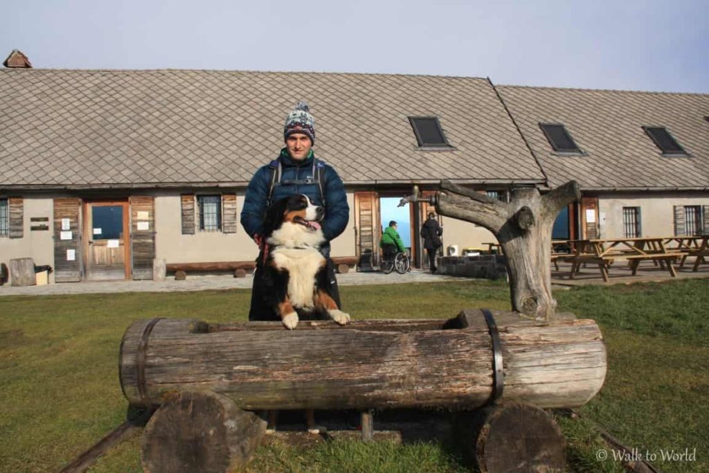 Anello del Cansiglio escursione nella faggeta con il cane