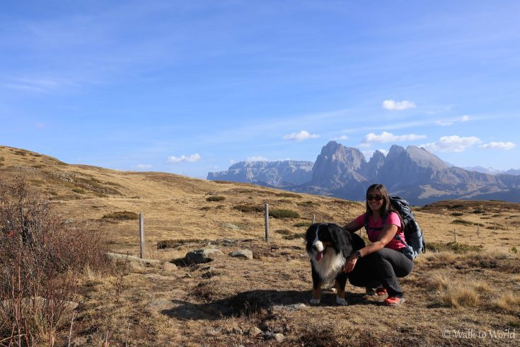 Dog Trekking sul Monte Bullaccia e Panche delle Streghe