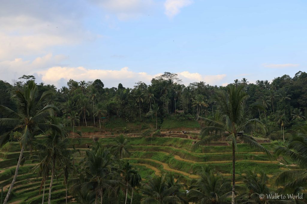 Indonesia itinerario di due settimane: Bali, Komodo e isole Gili