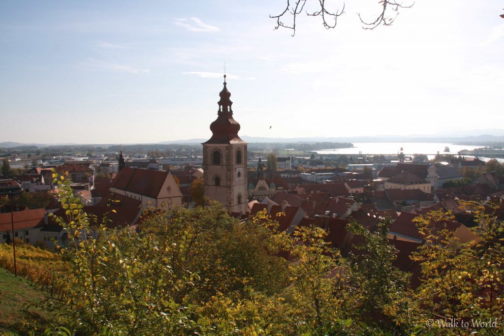 Cosa vedere a Ptuj la più antica città della Slovenia
