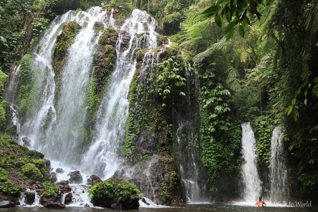 Banyu Wana Amertha le cascate più belle di Bali