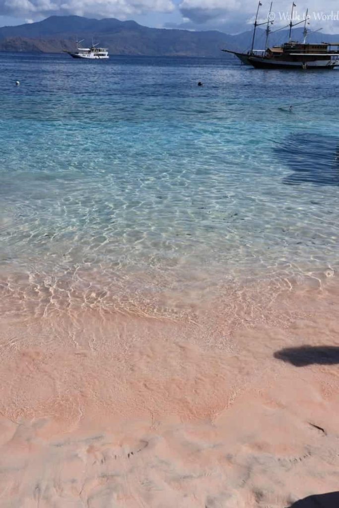 Komodo Pink Beach