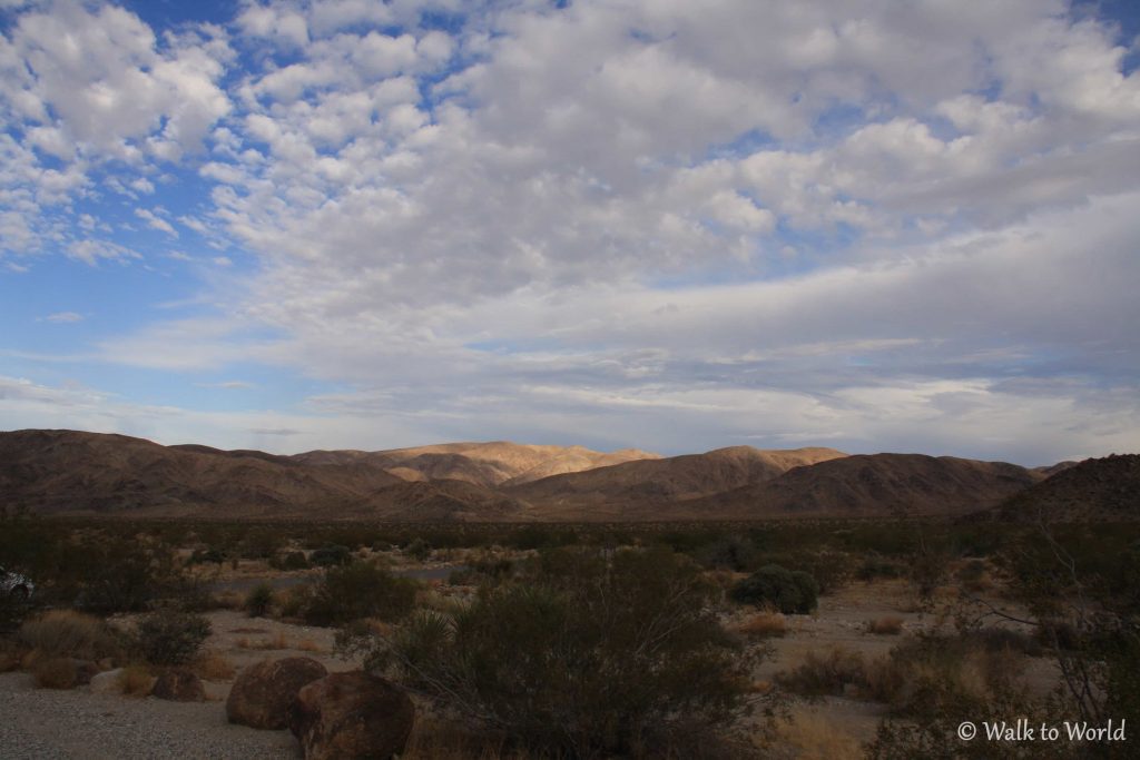 Joshua Tree National Park