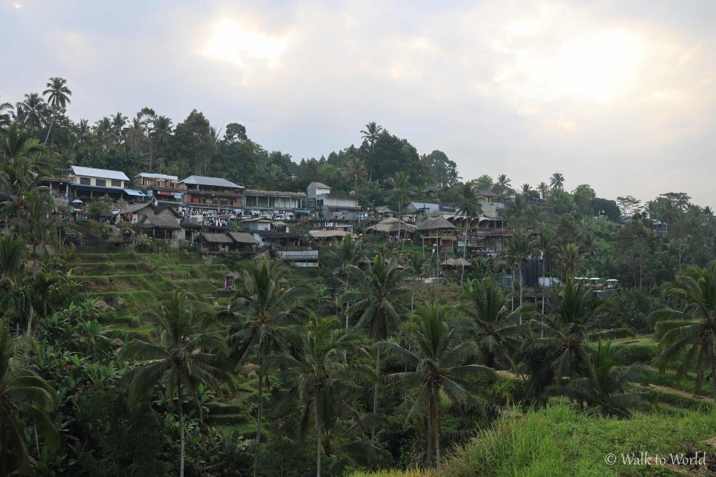 Tegallalang: visita alle risaie terrazzate più belle di Bali 