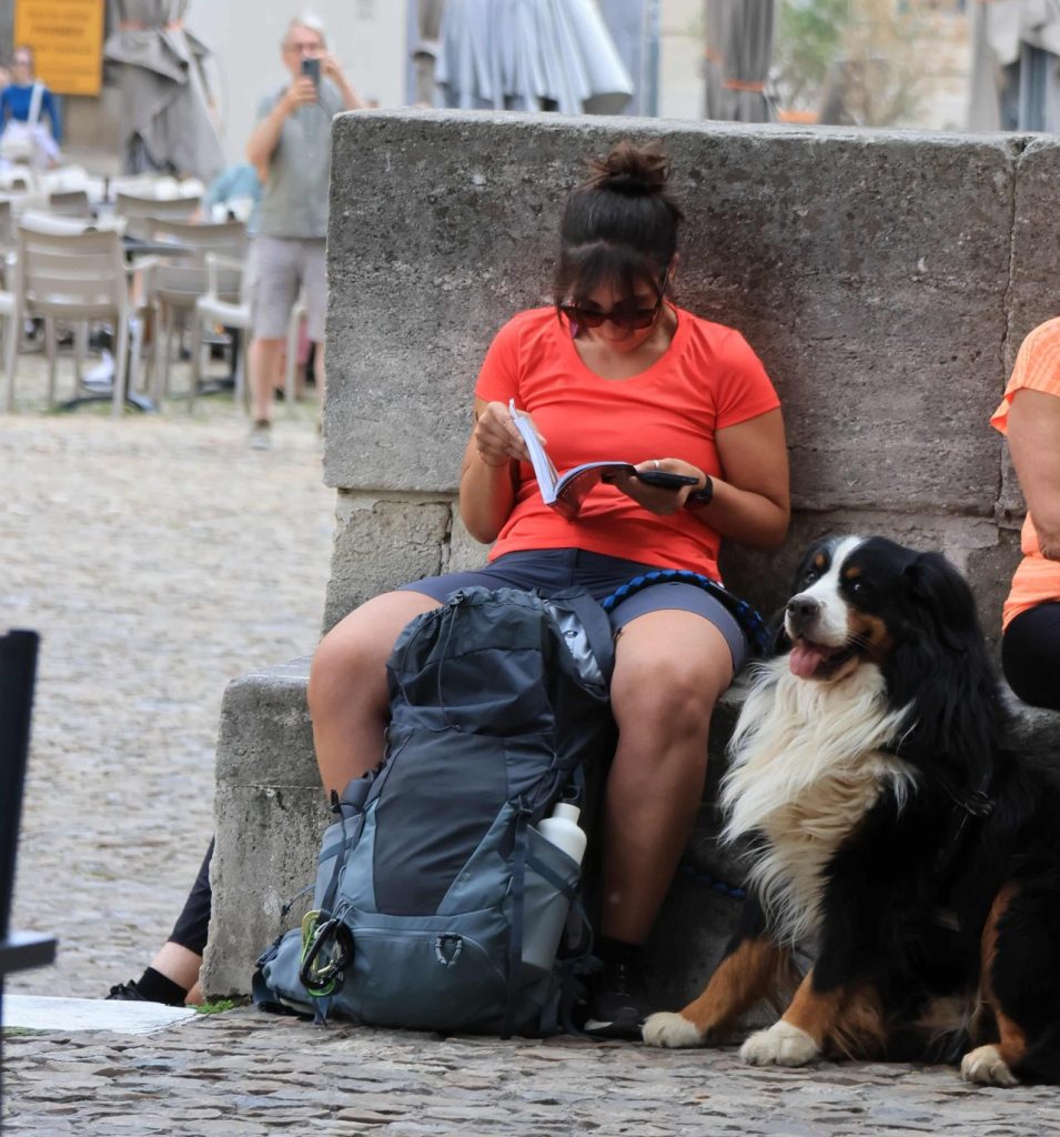 Viaggiare in Francia con il cane: informazioni utili e consigli!