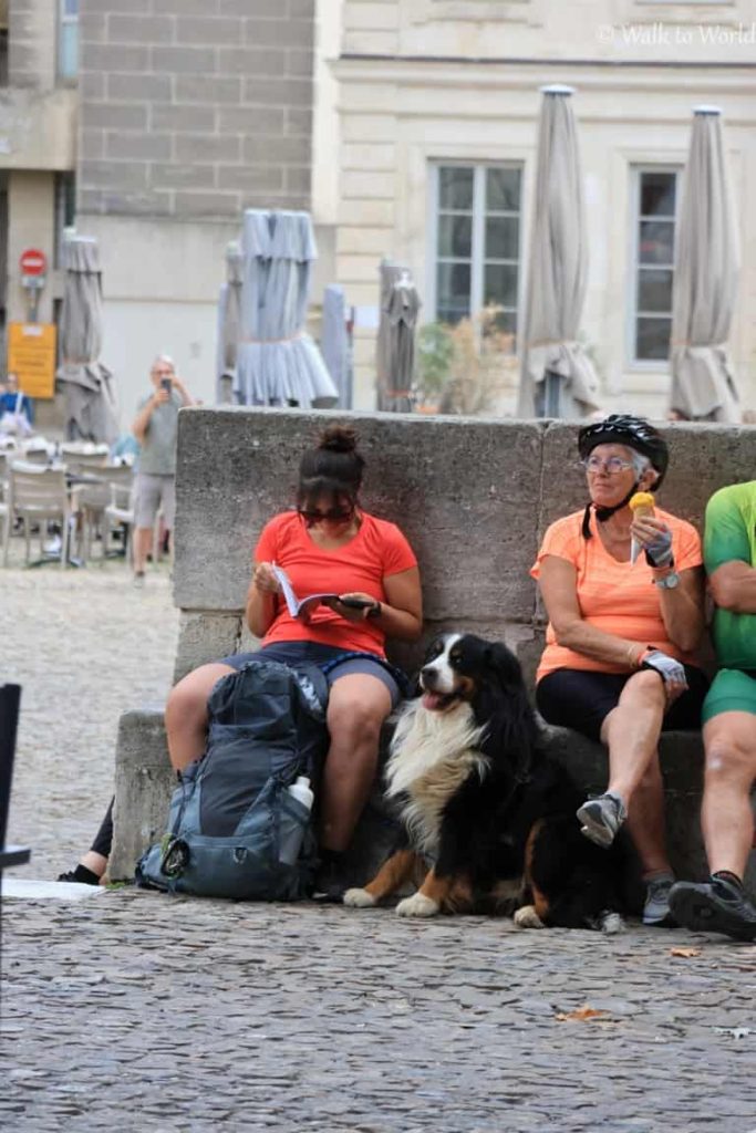 Viaggiare in Francia con il cane: informazioni utili e consigli!