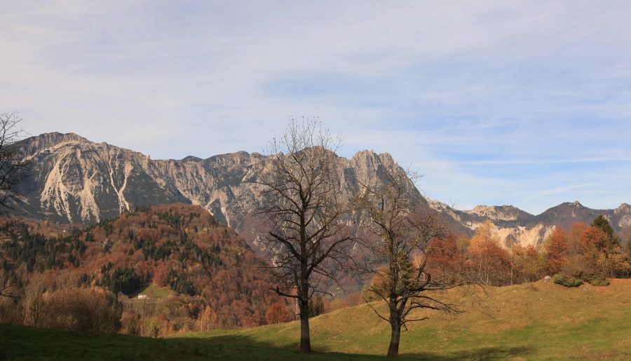 Sul Sentiero dei Grandi Alberi fino al Rifugio Cesare Battisti