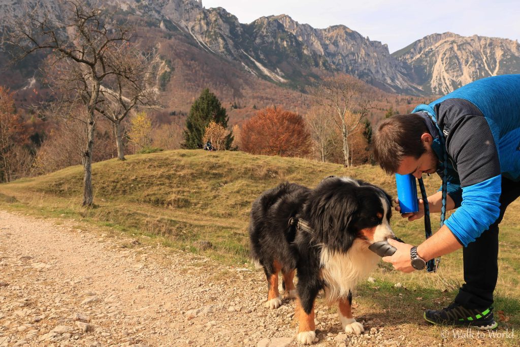 Sul Sentiero dei Grandi Alberi fino al Rifugio Cesare Battisti 