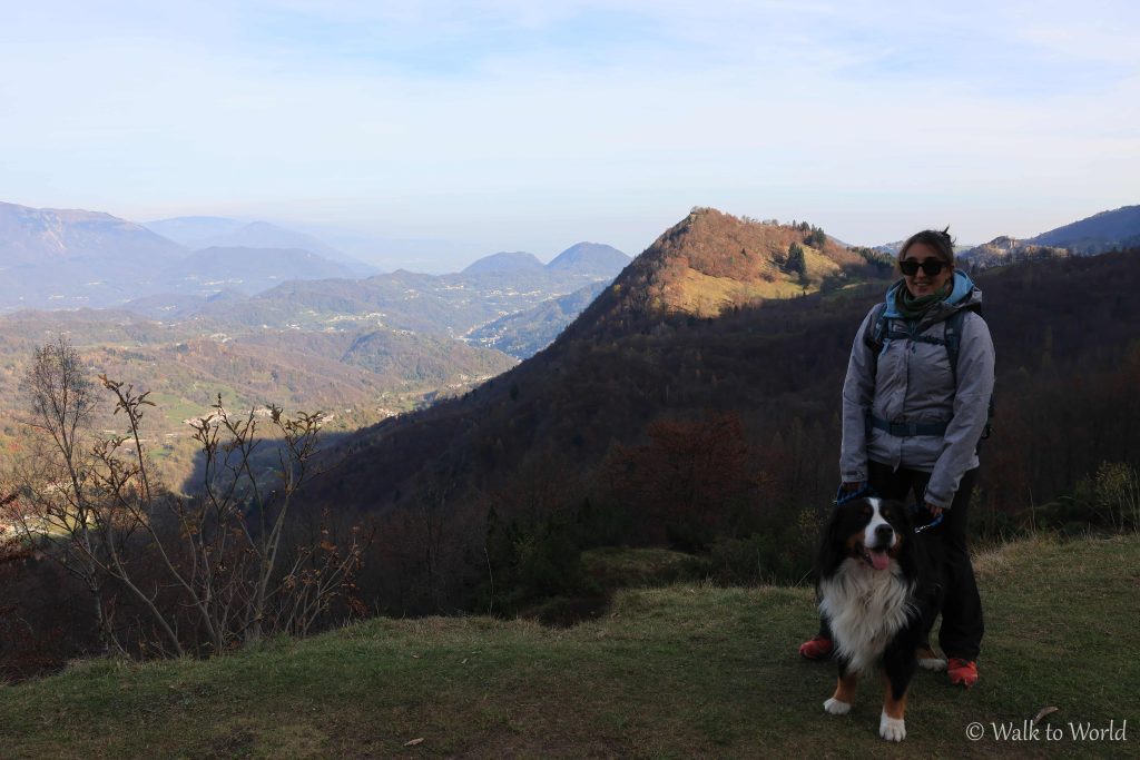 Sul Sentiero dei Grandi Alberi fino al Rifugio Cesare Battisti 