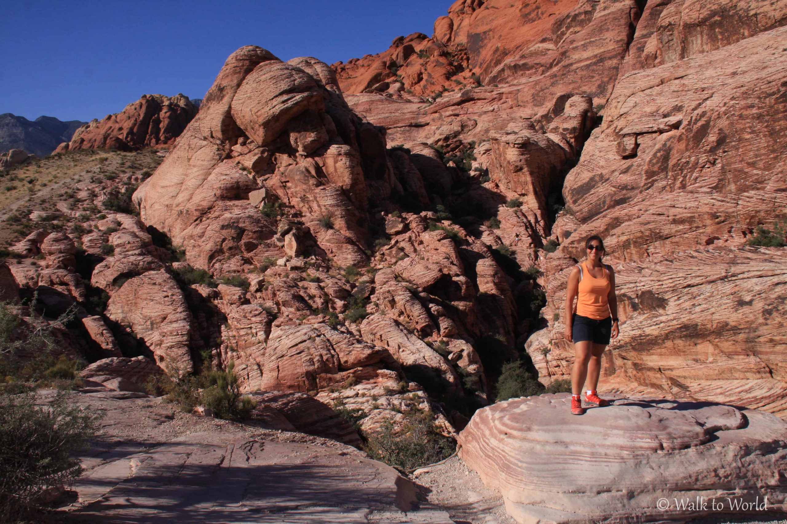 Red Rock Canyon spettacolo roccioso a Las Vegas!