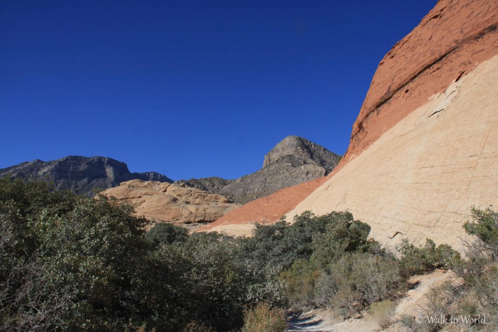 Red Rock Canyon: spettacolo roccioso a Las Vegas!