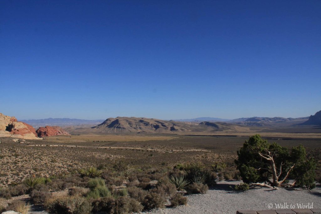 Red Rock Canyon: spettacolo roccioso a Las Vegas!