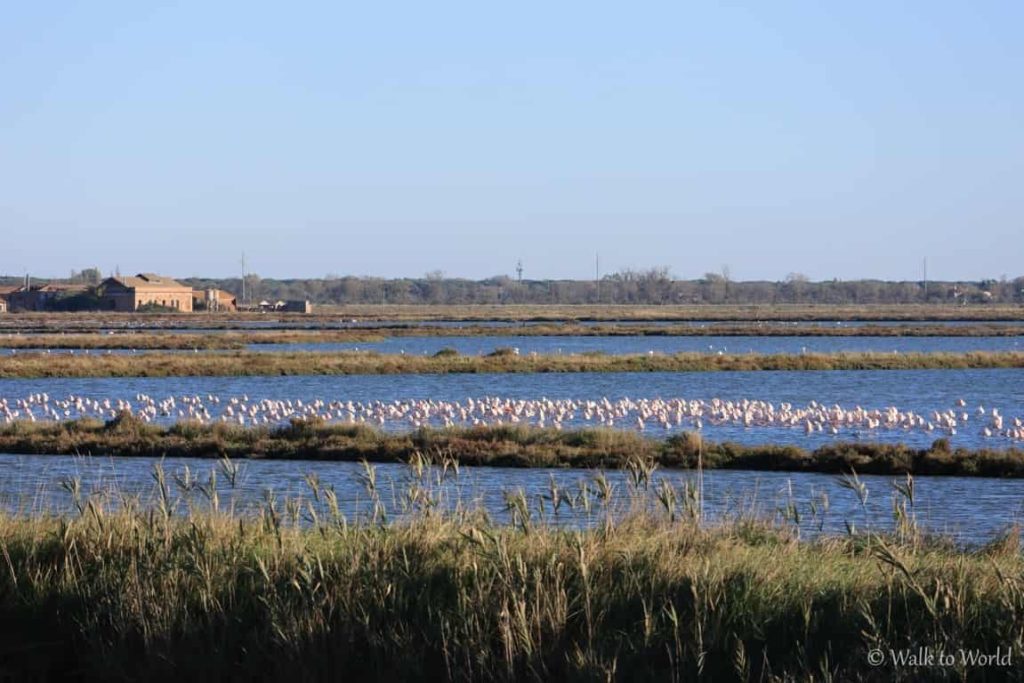 Visitare le Valli di Comacchio dalla terra e dall'acqua