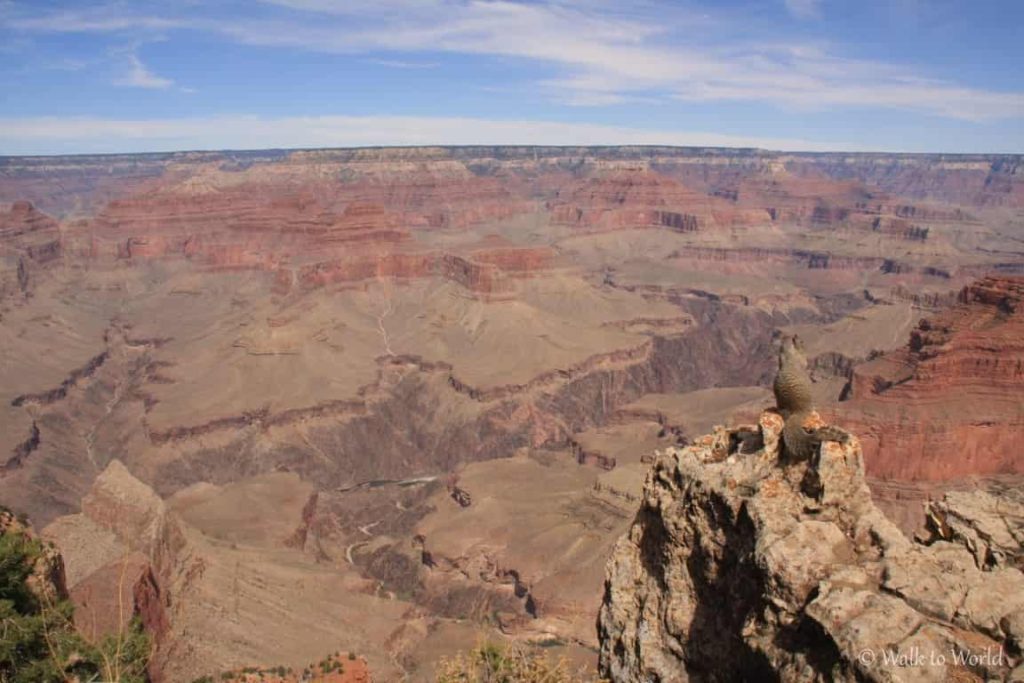 itinerario di due settimane nel sud-ovest USA
