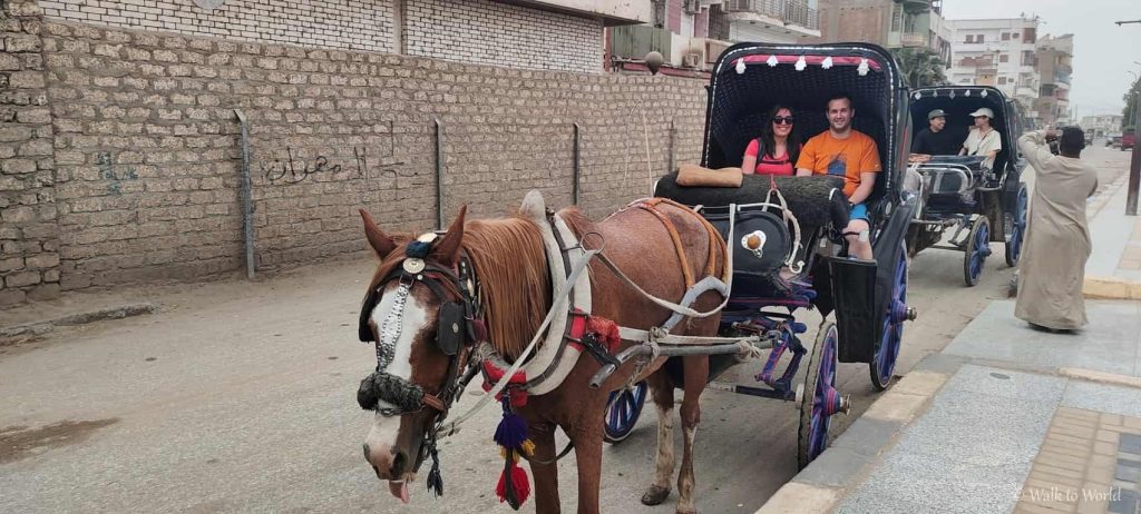 Edfu carrozza con cavalli
