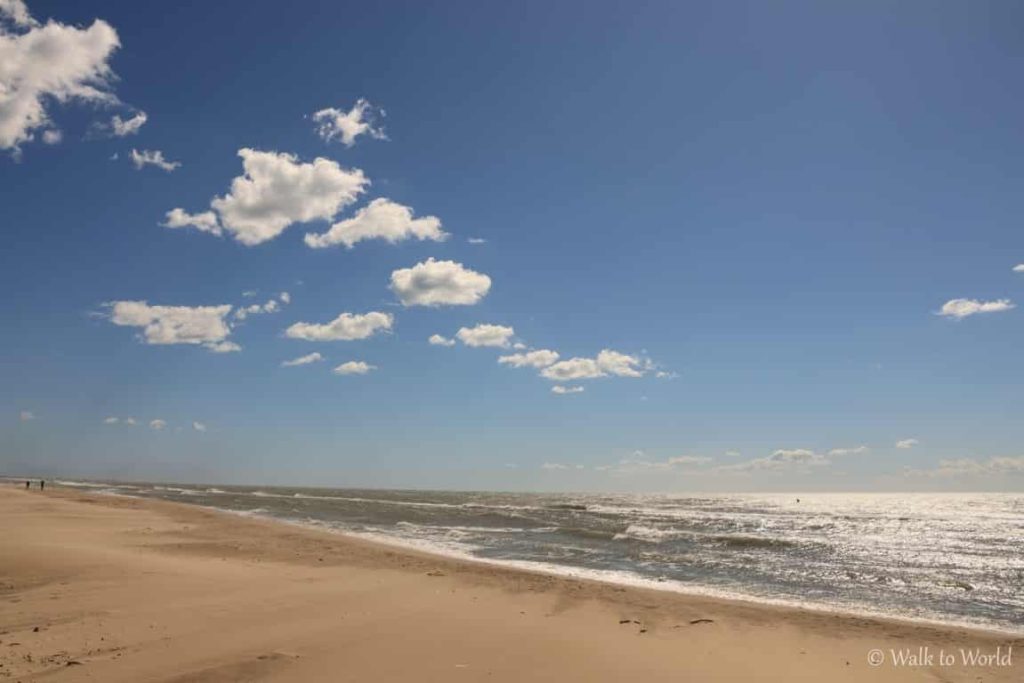 Camargue: cosa vedere e itinerario da seguire 