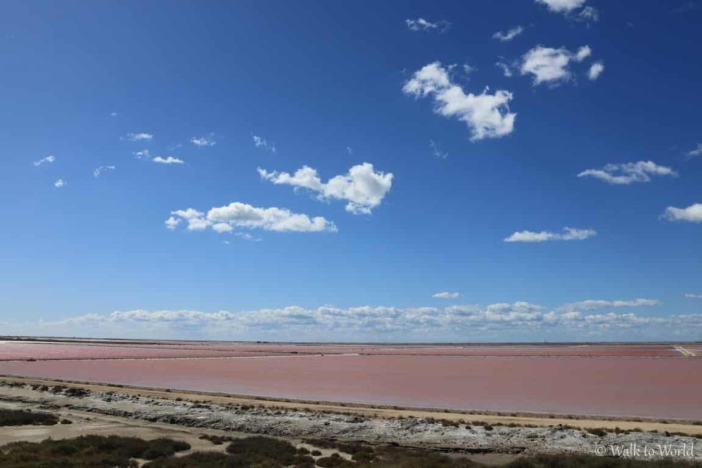 Camargue: cosa vedere e itinerario da seguire 