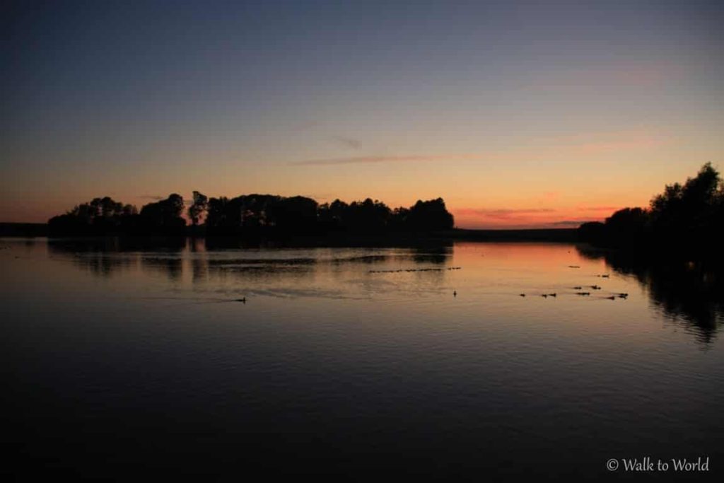 Ringsted