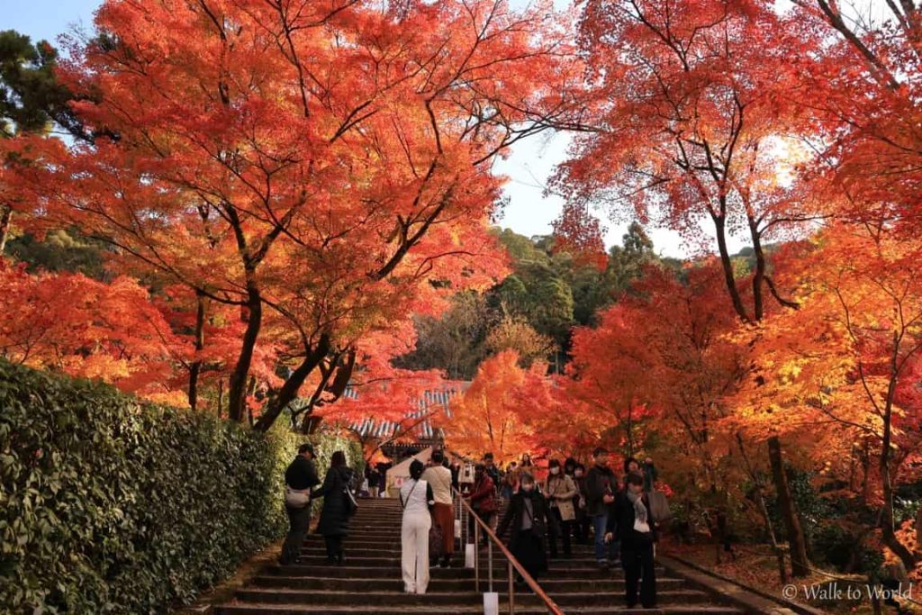 Tempio Eikan-do giardino