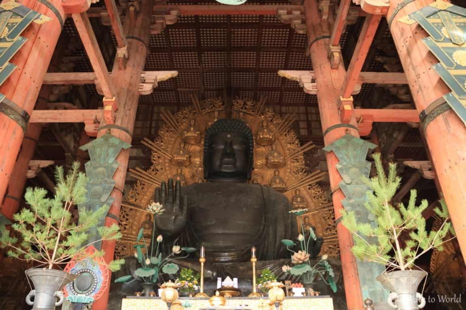 Nara e i suoi cervi: cosa vedere in un giorno