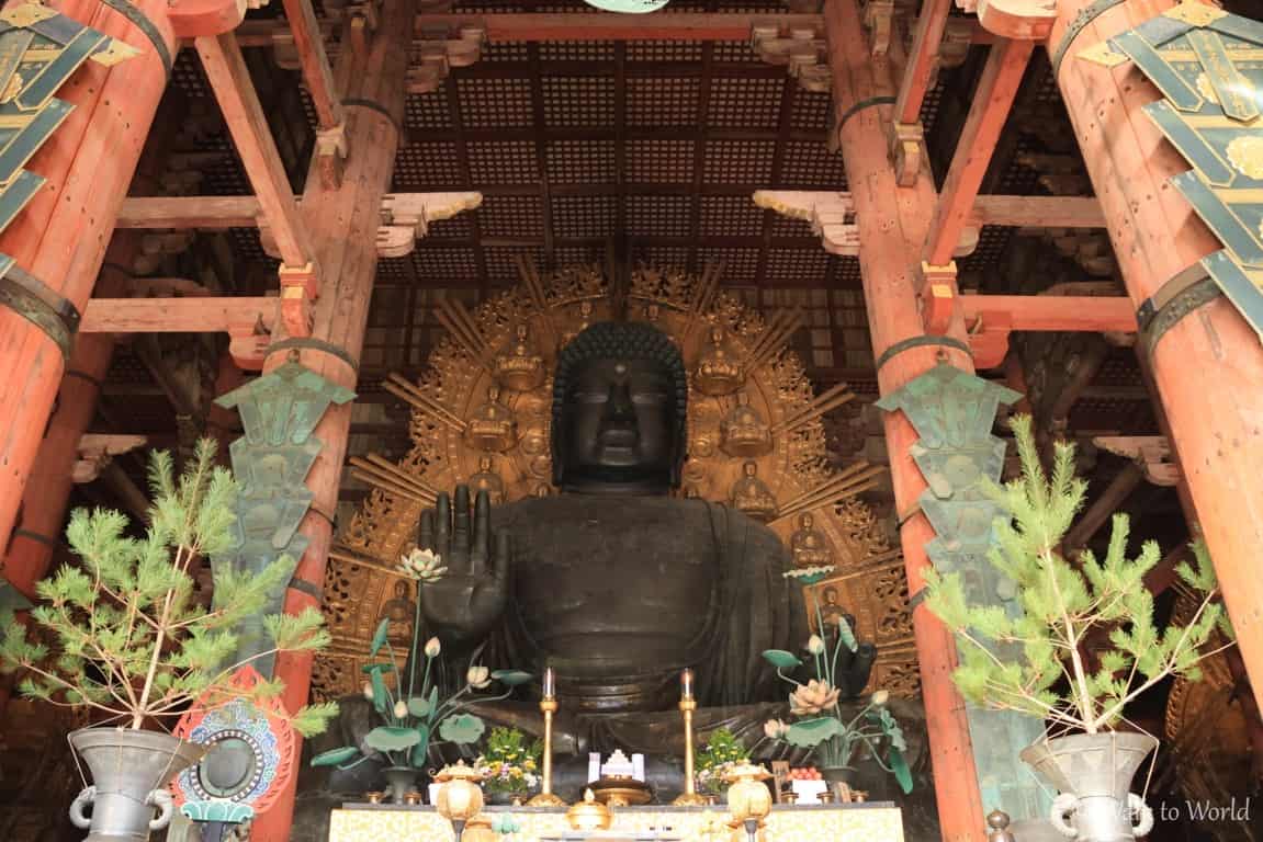 Nara e i suoi cervi: cosa vedere in un giorno