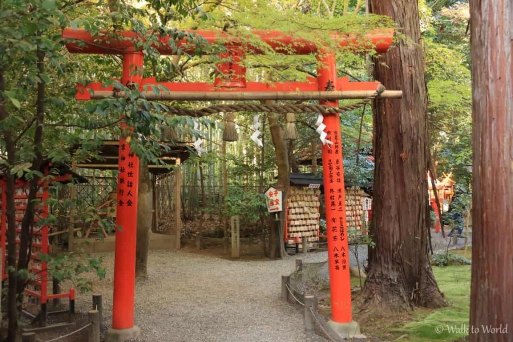 Arashiyama tempio Foresta di Bambù