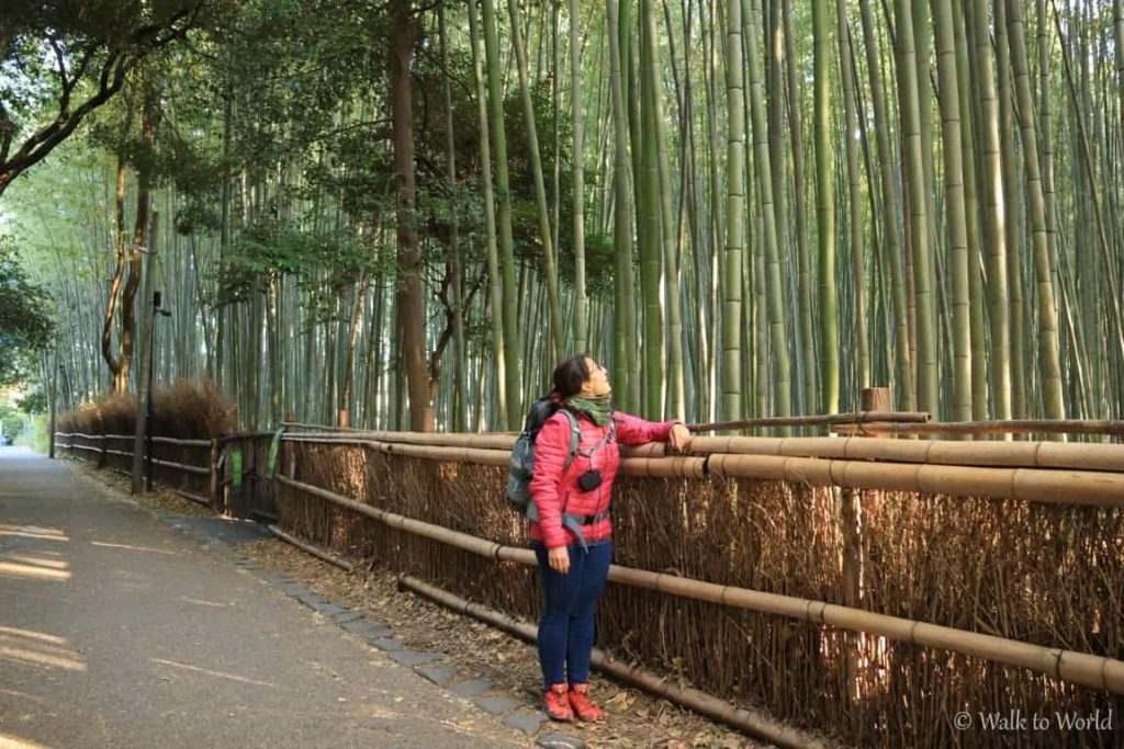 Arashiyama visitare la foresta di bambù e non solo