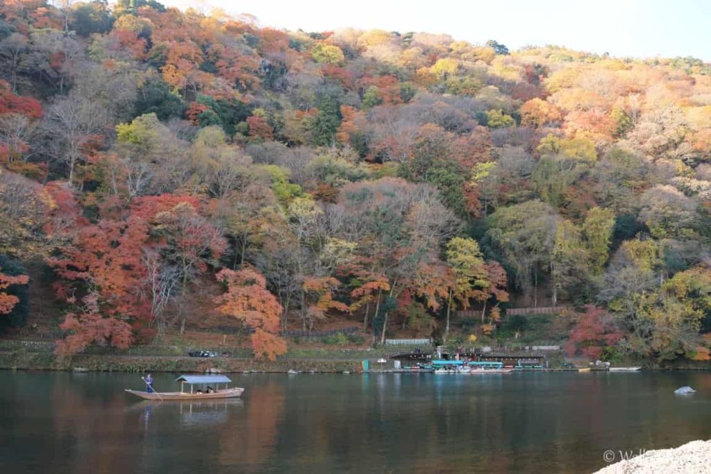 Arashiyama visitare la Foresta di Bambù e non solo