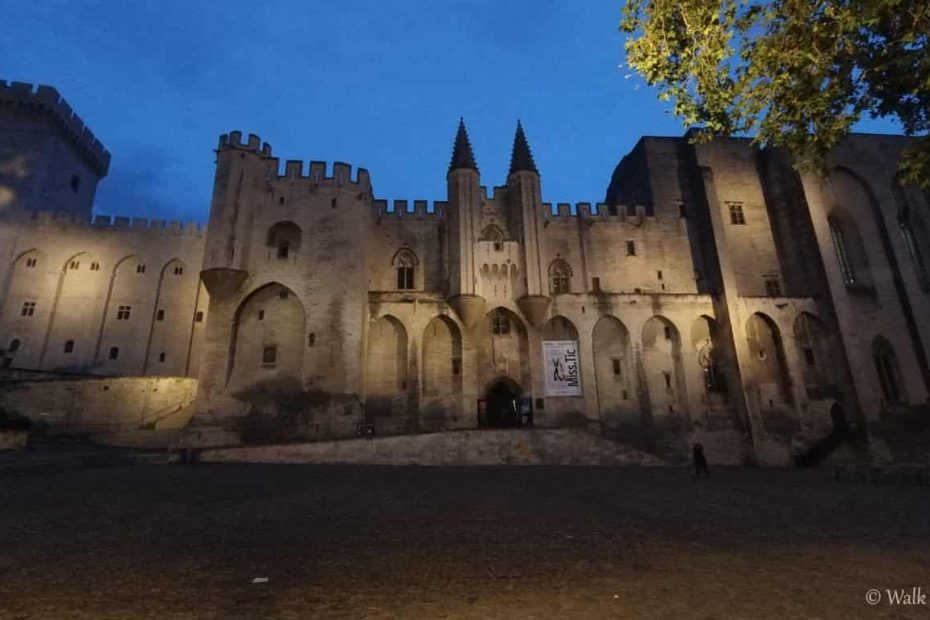 Visitare Avignone con il cane in un giorno