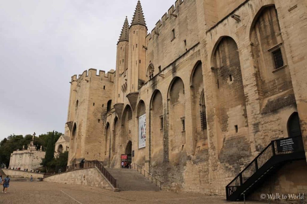 Visitare Avignone con il cane in un giorno