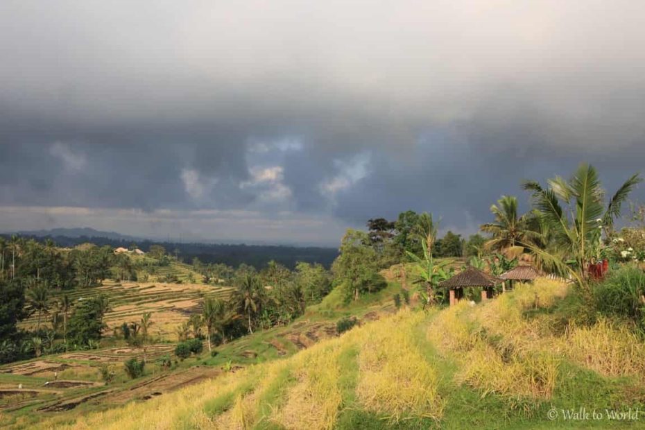 Viaggio a Bali: itinerario di 9 giorni