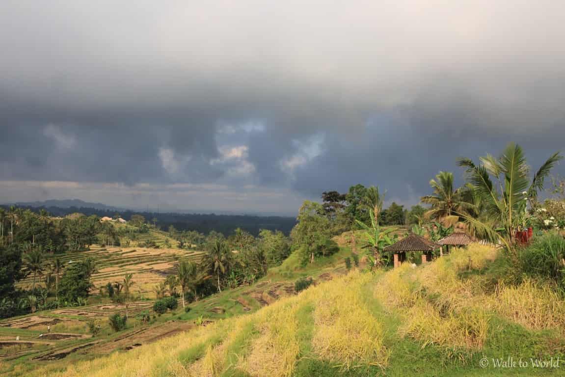 Viaggio a Bali: itinerario di 9 giorni