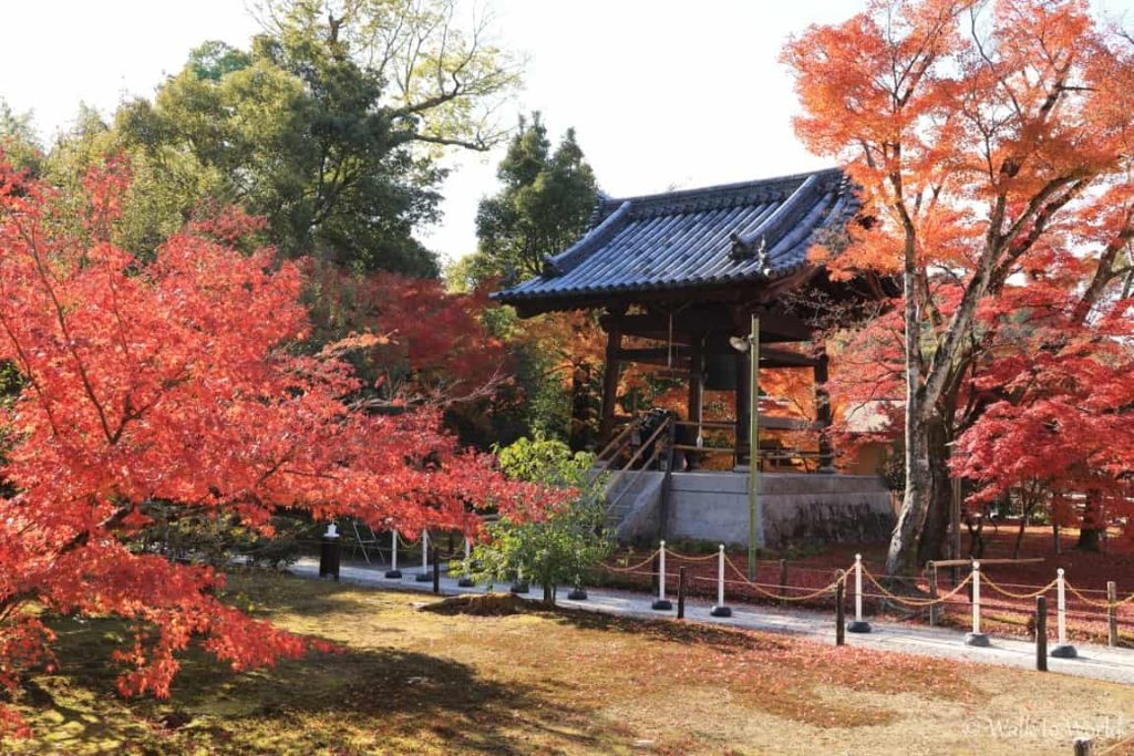 Kyoto Kinkaku-ji momiji