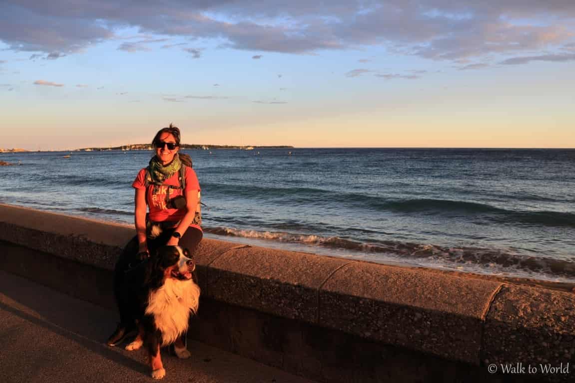 Cannes: cosa vedere in un pomeriggio con il cane