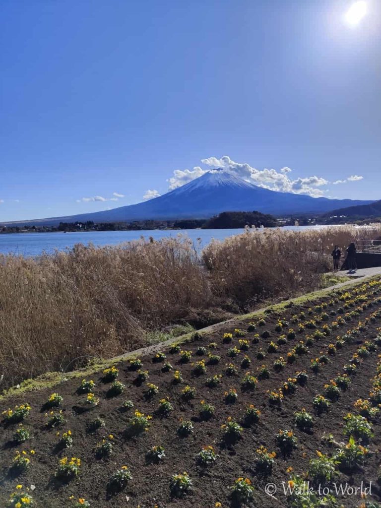 Monte Fuji: cosa vedere in un giorno da Tokyo