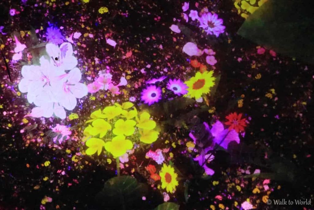 TeamLab Planet Floating Flowers