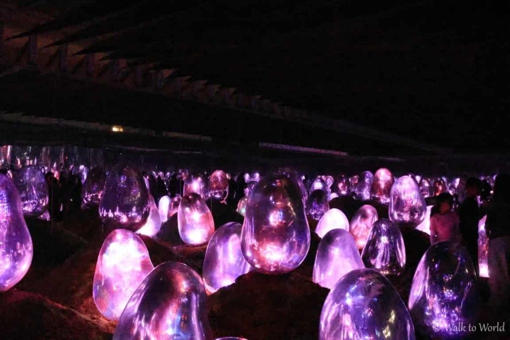 TeamLab Planet Moss Garden