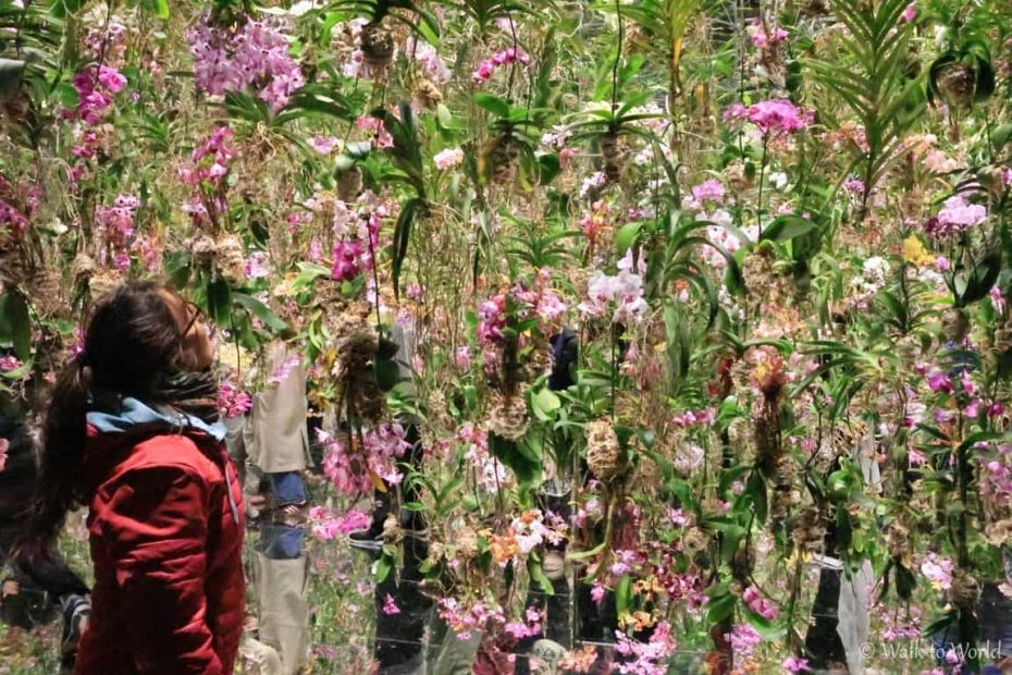 TeamLab Planet spettacolare museo sensoriale a Tokyo