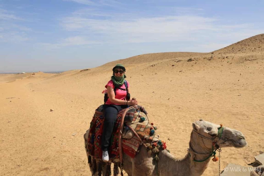 Piana di Giza dromedario