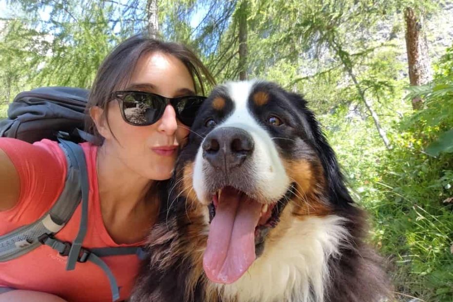 Cucciolo gigante e montagna: come e quando iniziare