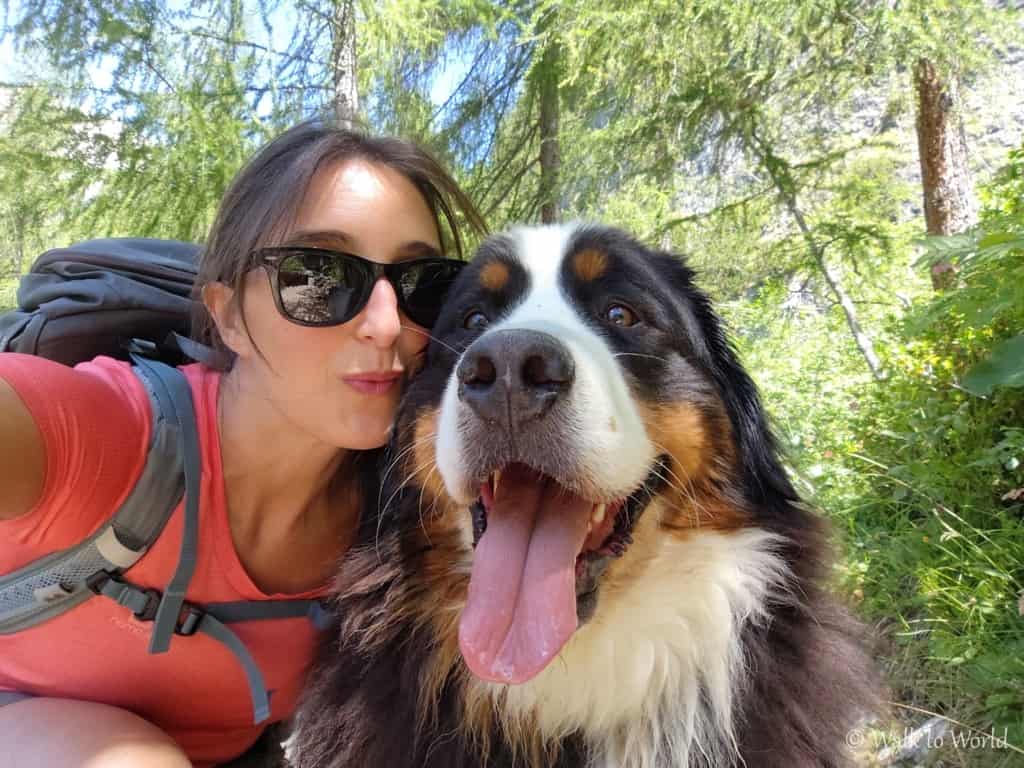 Cucciolo gigante e montagna: come e quando iniziare