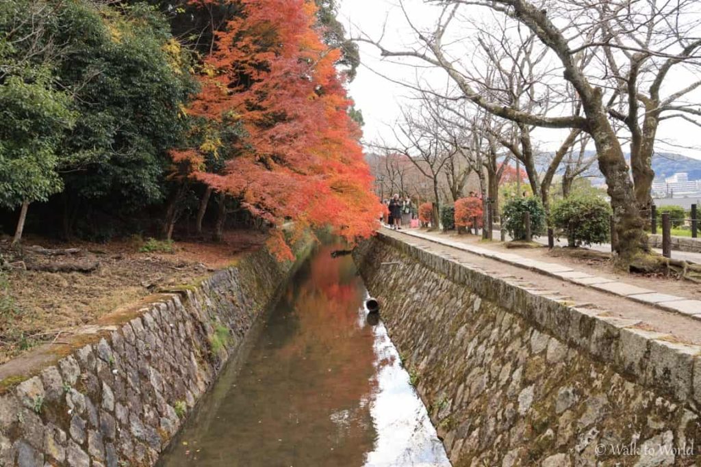 Ginkaku-ji e il Sentiero del Filosofo: itinerario a piedi a Kyoto