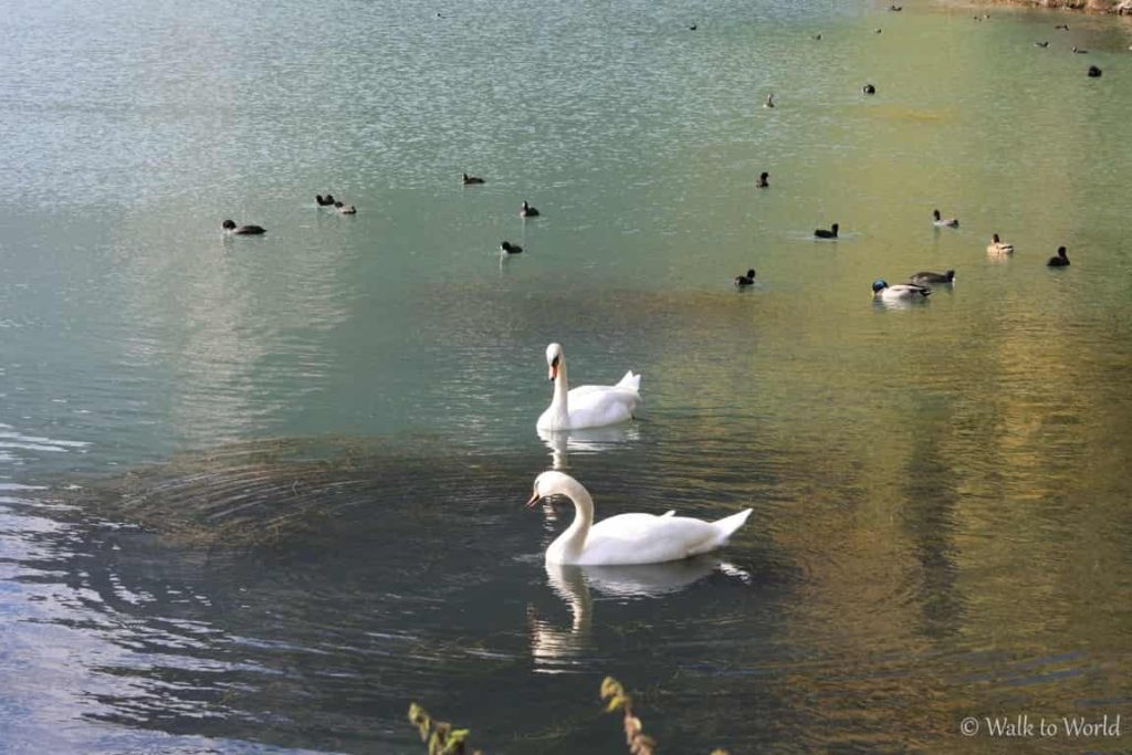 Lago di Toblino